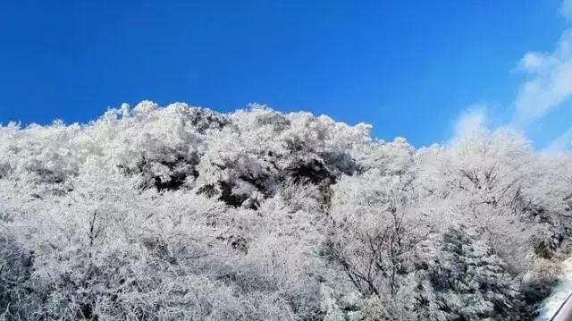 逃离黄金城堡