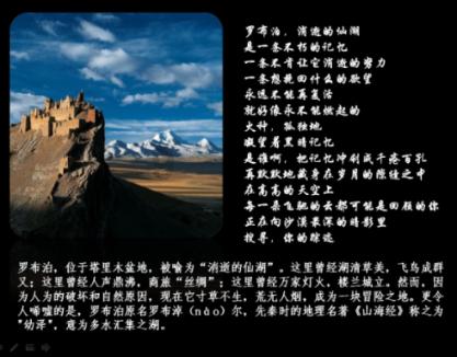 奥利维亚药店