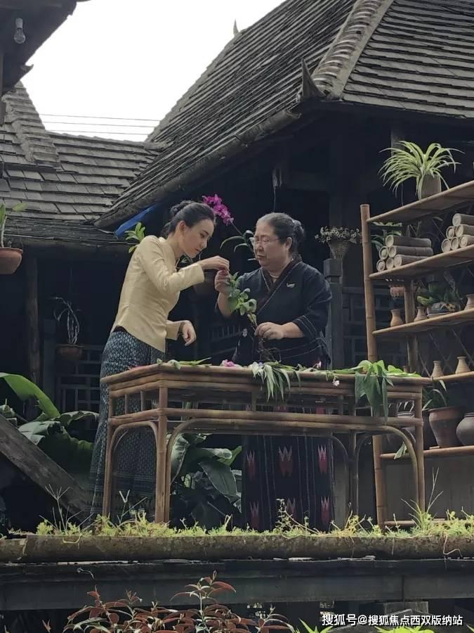 小猫钓鱼正版下载中文版
