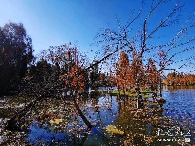 刚毕业怎么在公司相处立足？游戏画面
