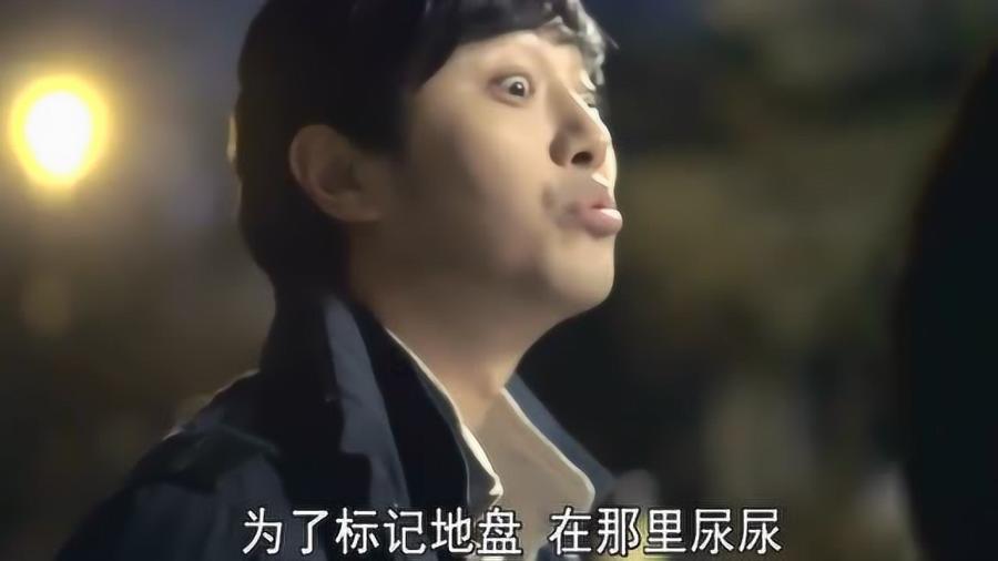 晚上可以去给长辈拜年吗?- 热门红迪网平台