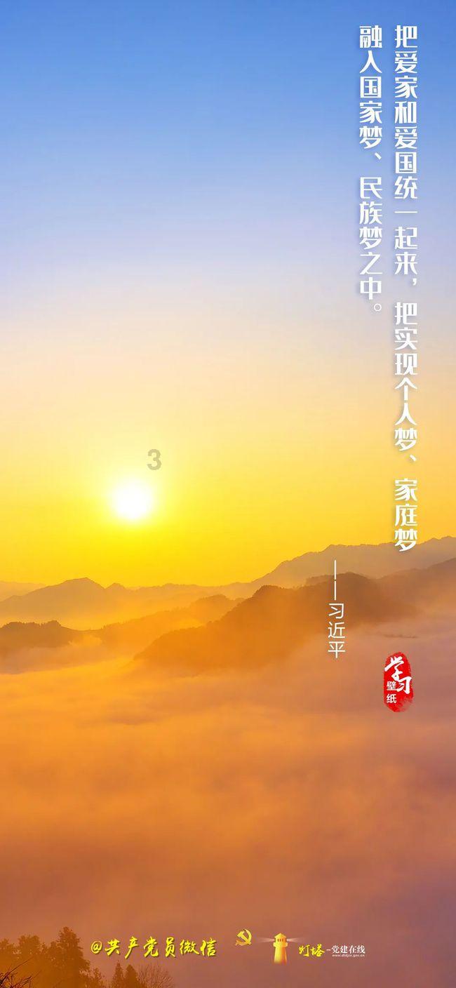 破碎的动物图形3