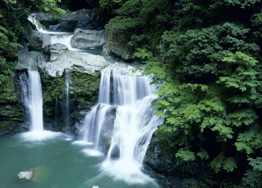 春雨直播app