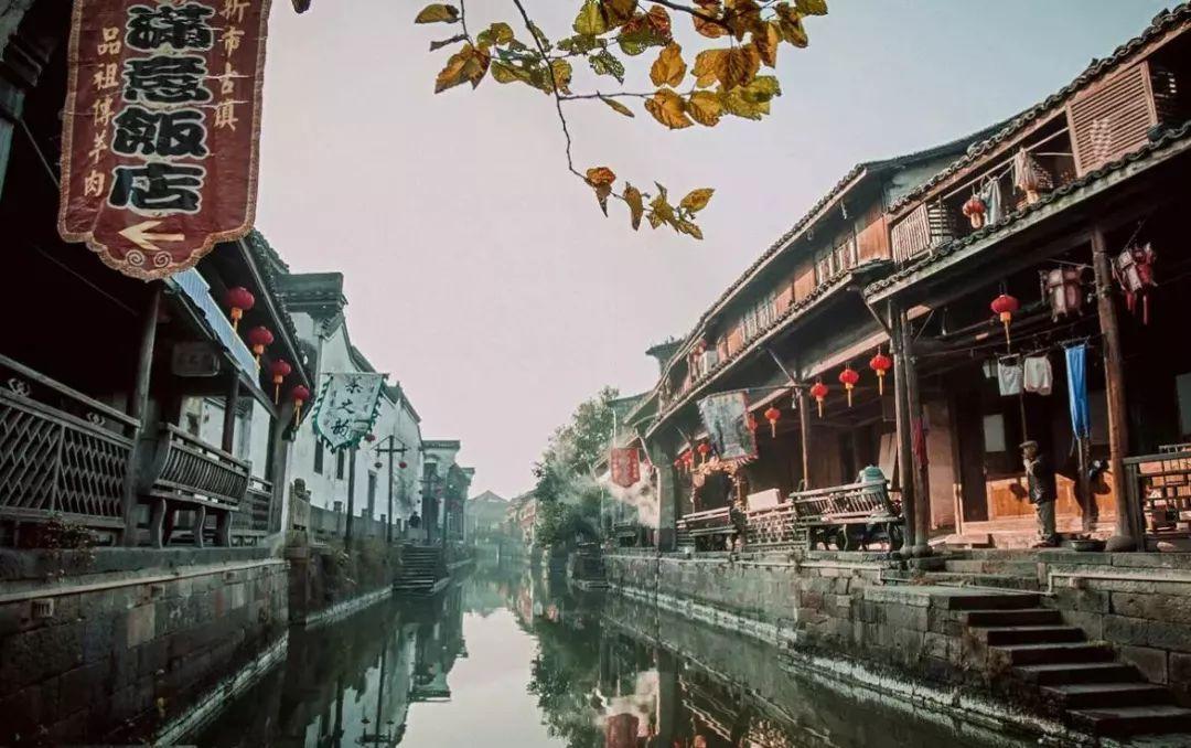动物帮帮忙保卫家园